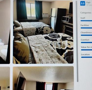 The suite