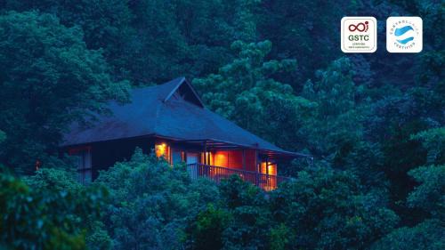 The Tamara Coorg