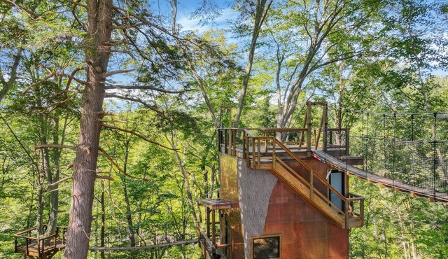 The Time Machine Treehouse