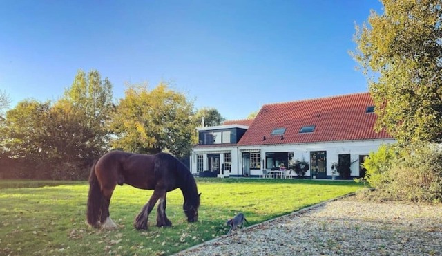 The Tinker paradise, horses, peace and space.