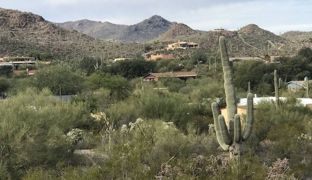 The Tortolita House on 1.2 acres - 3 min from the Sweetwater Preserve!
