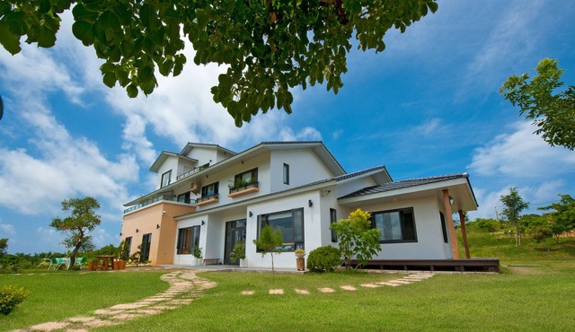 The Tree Bed and Breakfast