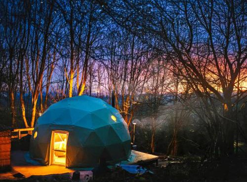 The Tree Dome - Ukc6979