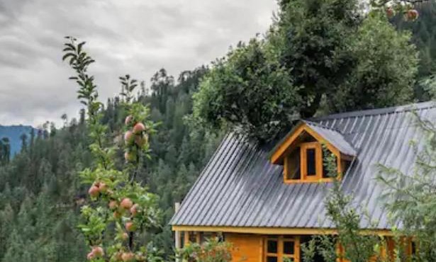 THE TREE HOUSE JIBHI ,Swastika Aashiyana