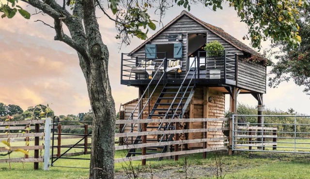 The Treehouse at Humblebee Hall