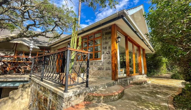 The Treehouse