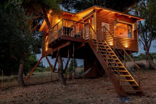 the Treehouse Project