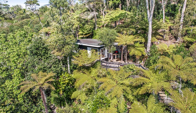 The Treehouse - Raglan Holiday Studio