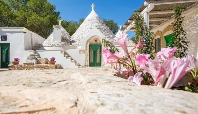 THE TRULLO OF THE WHITE OLIVE TREE