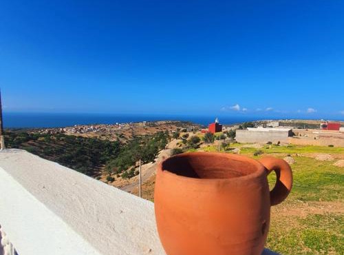 The View