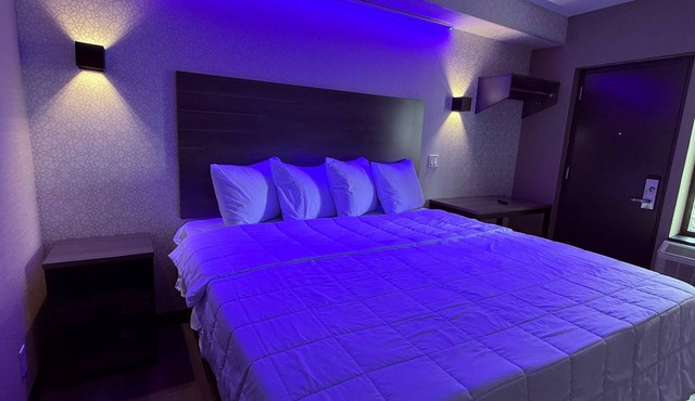 The Vine Hotel Bronx