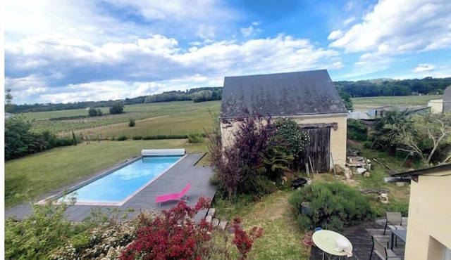 The vineyard setting
