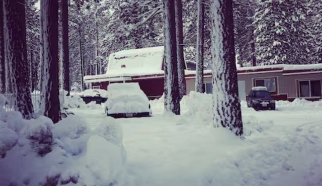 The Washoe 3 bedroom Family unit(pets welcome)