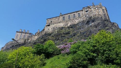 The Wee Thistle