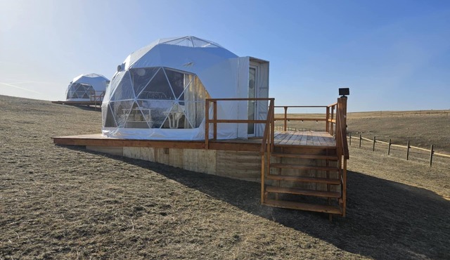 The Wheat Grass Dome