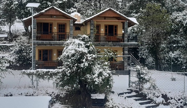 The Wild Planet - Treehouses & Cottages