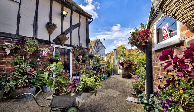 The WoolPack Inn