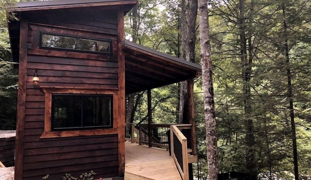 Theodore Tiny Cabin- RRG Hot Tub! Pet Friendly!