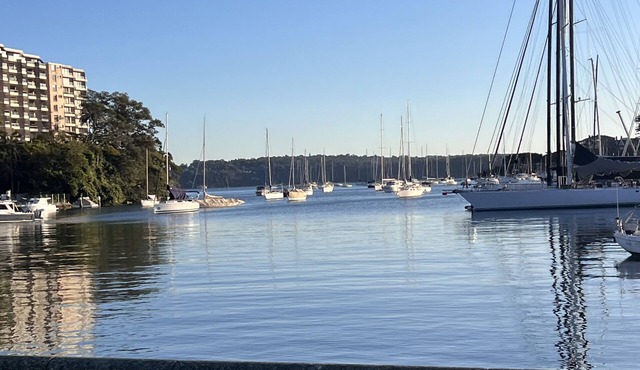 This apartment is a 1 bedroom(s), 1 bathrooms, located in RUSHCUTTERS BAY, NSW.