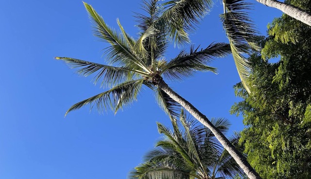 This hideaway is centered right in the middle of Oahu, Hi