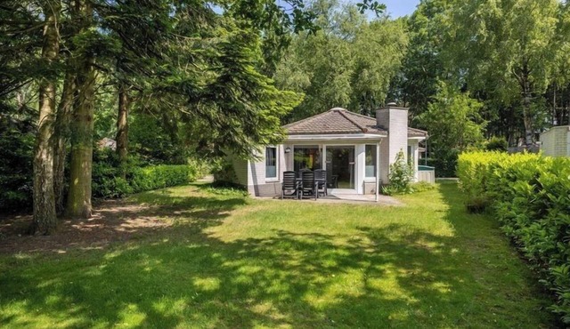 This spacious detached bungalow offers you complete comfort for a carefree pet-free holiday in the Veluwe, featuring a cozy fireplace and fully equipped kitchen.
