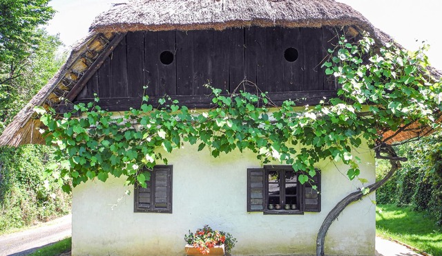 This thatched farmhouse, built in adobe, was called the 1st studio house of an artists' village.