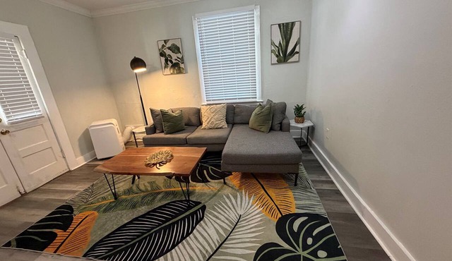 Thornton park paradise 1 bedroom Lake Eola