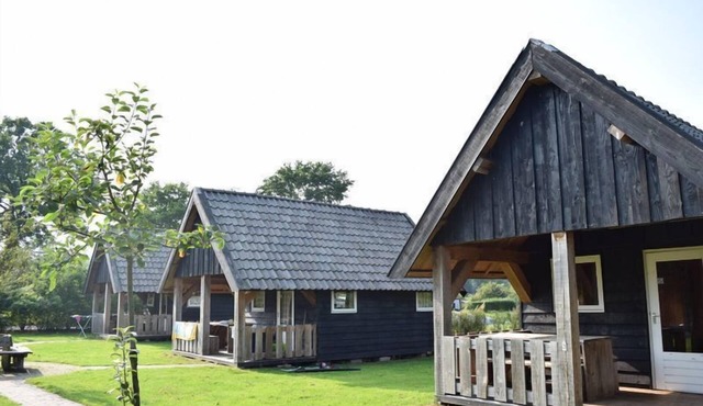 Three charming trekking cabins on the Veluwe in one booking. Ideal for families or groups of friends who want to stay together while still enjoying their own space. Experience comfort, nature, and luxury facilities at Recreatiepark De Boshoek.