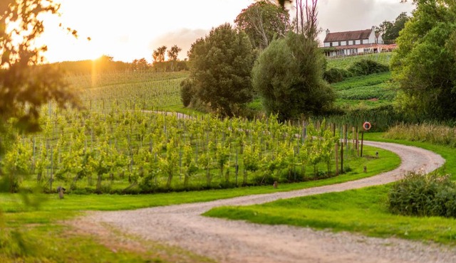 Three Choirs Vineyards