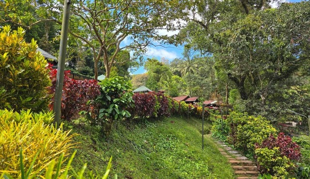 Three Hills Resort & Spa, Coorg