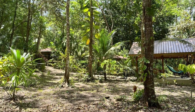 Three Jungle Cottages near San Ignacio~6 beds~AC~ Restaurant at the property