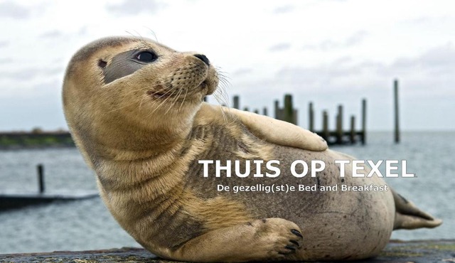Thuis op Texel