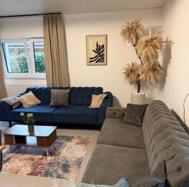 Tiger Apartment