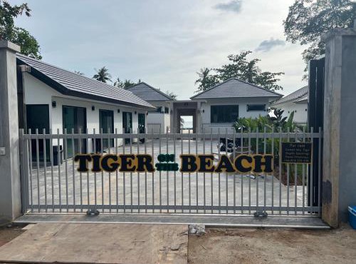 Tiger on the Beach