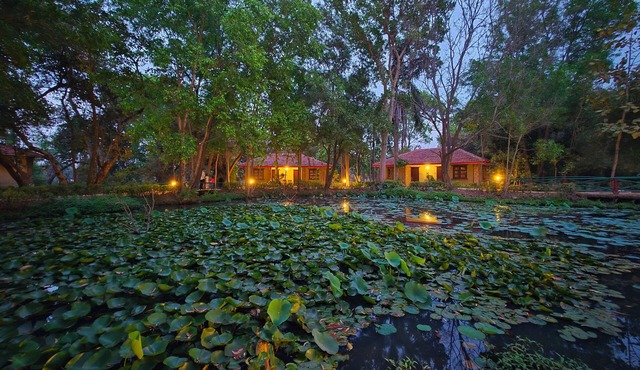 Tiger Trails Resorts