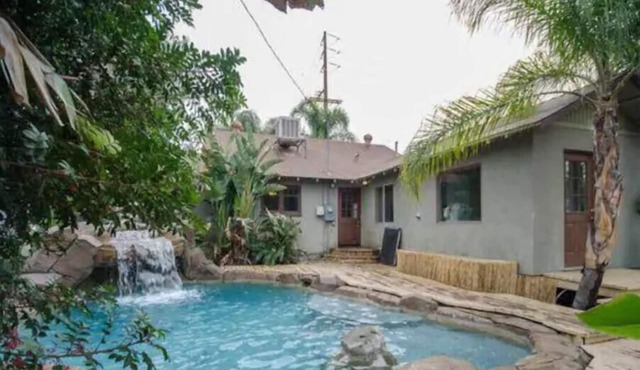Tiki jungle