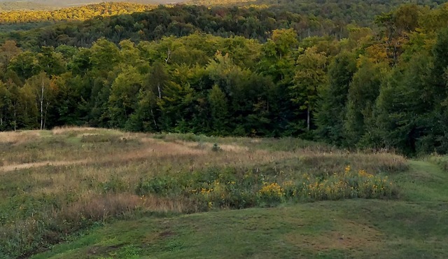 Timber-frame home on 96 acres with view of White Mountains