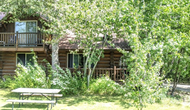 Timber Wolf Cabin: One Bedroom
