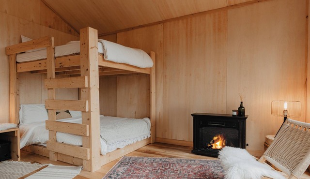 Tiny cabin amongst trees on a farm with alpacas