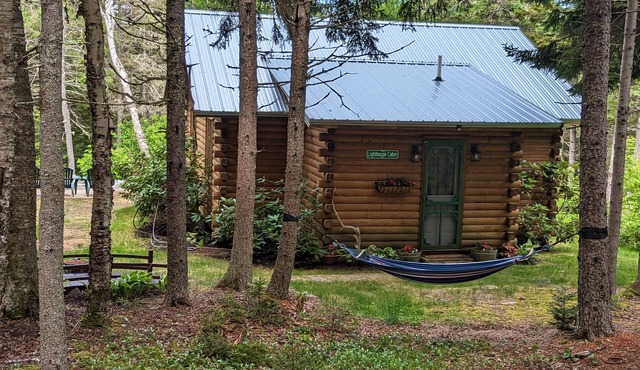 Tiny cabin BIG CHARM/Military discount/Fire pit/Beach/No pet fee