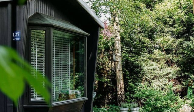 Tiny Cabin Mae on the Veluwe