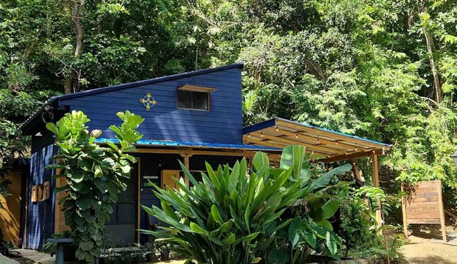 Tiny Cozy Mountain Cabin Peaceful Retreat in Cayey