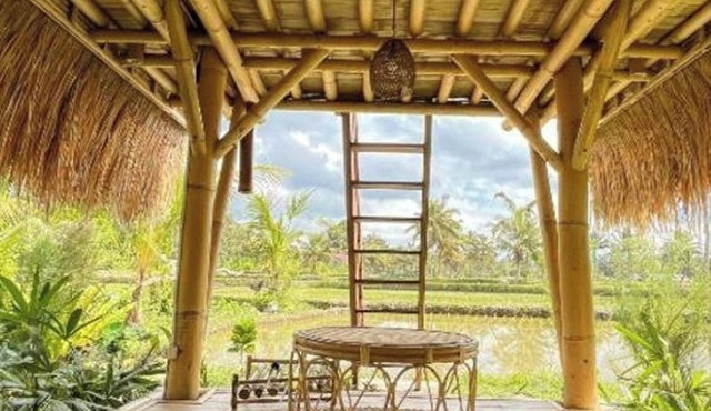 Tiny ECO Bamboo Ubud