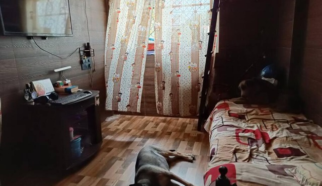 Tiny flat in hazzlefree society