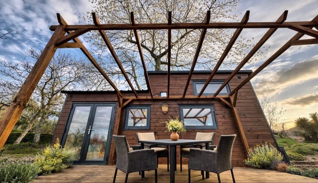 Tiny homes with big stories