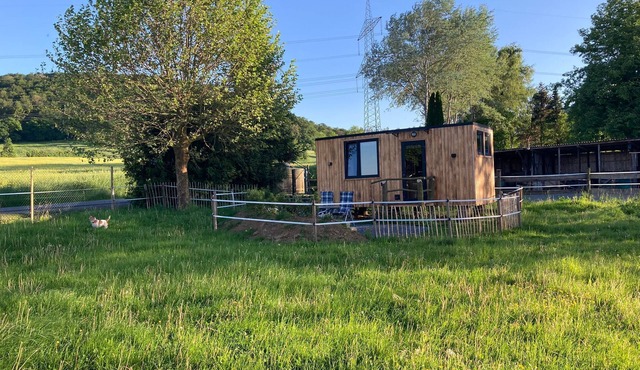 Tiny House mit Pferdebox im Weserbergland