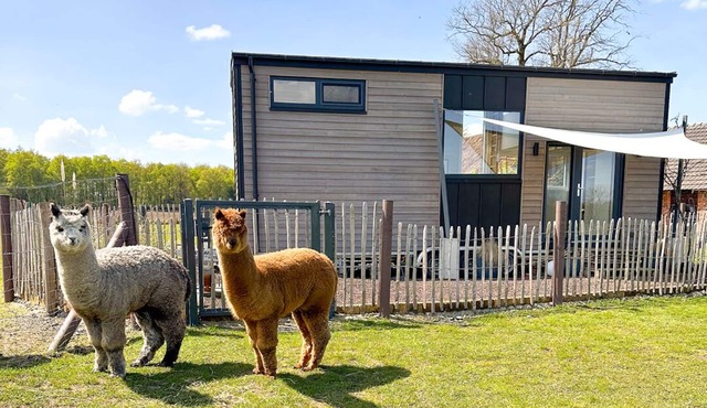 Tiny House Alpakablick - including free alpaca meet & greet