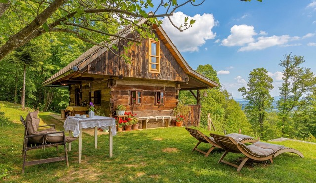 Tiny House Bibi, Dragatuš, Slovenia