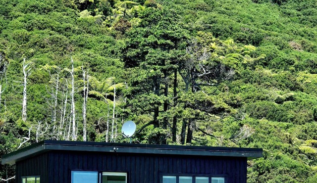 Tiny House close to Walking Tracks and beach only 5 mins to Greymouth Central