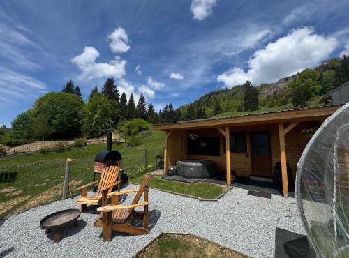 Tiny House Colibita
